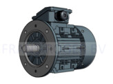 T1A  0.12KW  3000rpm  230/400V  B5  IE1